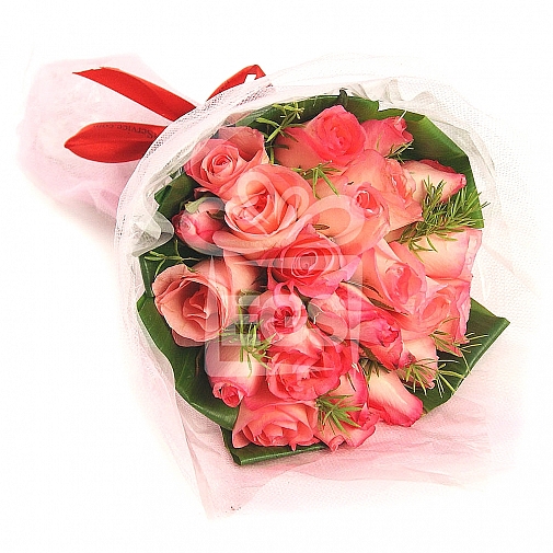 PINK BLUSHES