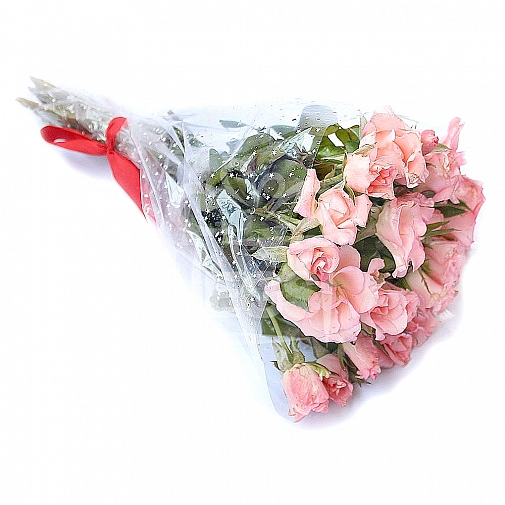 PINK ROSES